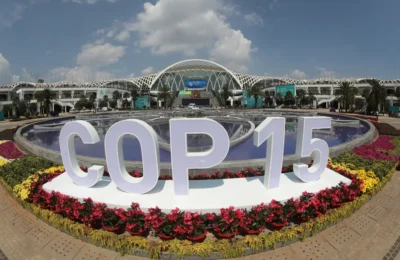 Making sense of COP15- what to look for in Montreal