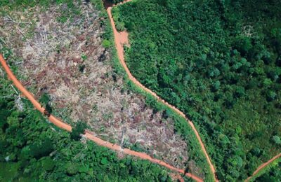 Lula insists on demarcating indigenous lands in Amazon rainforest